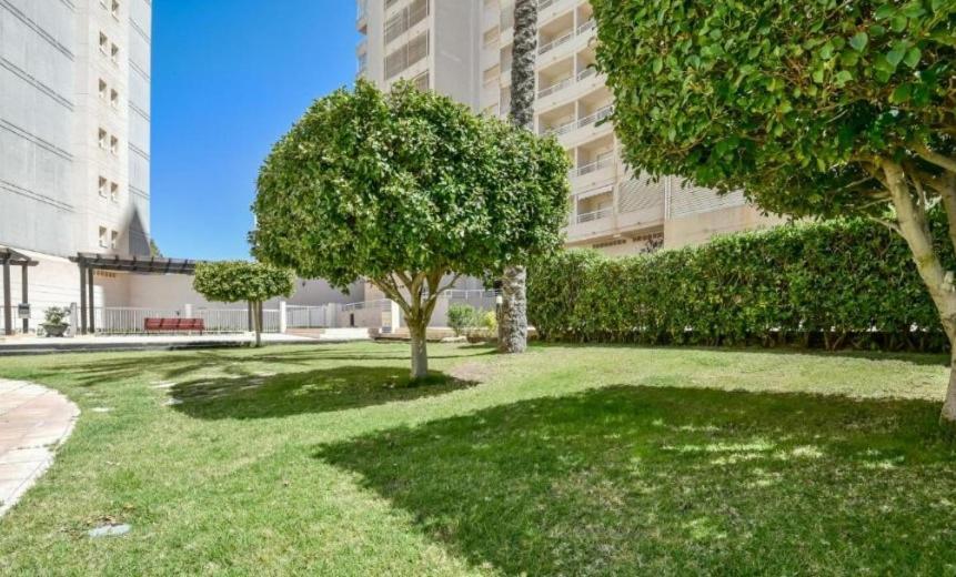 Homeincalpe Apolo XVII 1-14-41 Buitenkant foto